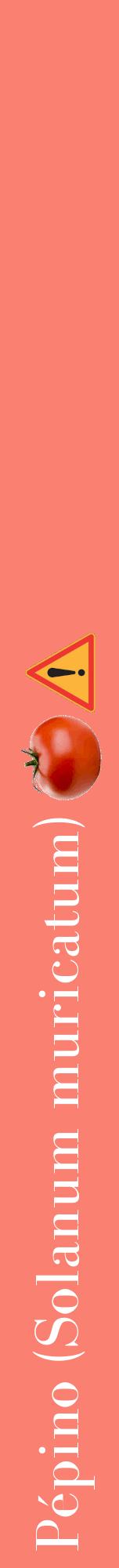 Étiquette de : Solanum muricatum - format a - style blanche38bod avec comestibilité simplifiée