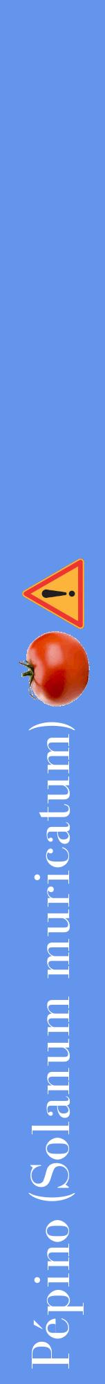 Étiquette de : Solanum muricatum - format a - style blanche4bod avec comestibilité simplifiée