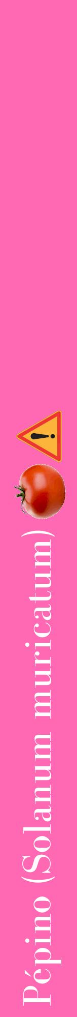 Étiquette de : Solanum muricatum - format a - style blanche42bod avec comestibilité simplifiée