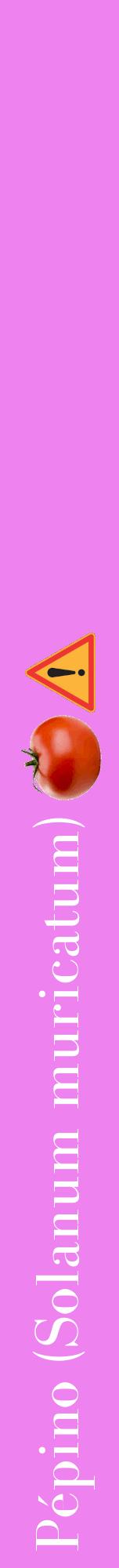 Étiquette de : Solanum muricatum - format a - style blanche53bod avec comestibilité simplifiée