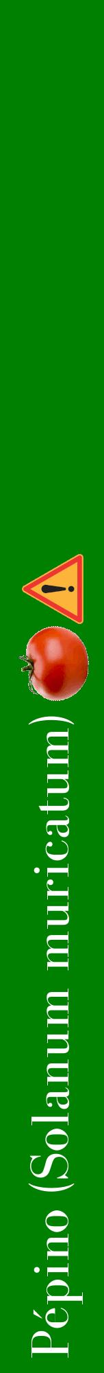 Étiquette de : Solanum muricatum - format a - style blanche9bod avec comestibilité simplifiée