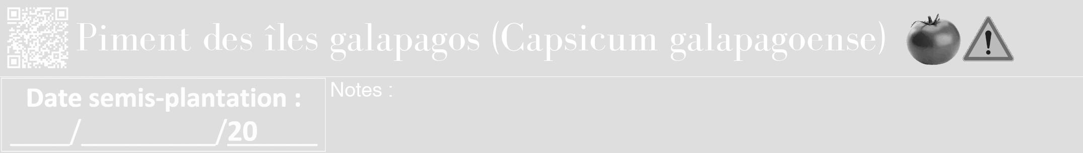 Étiquette de : Capsicum galapagoense - format a - style blanche20bod avec qrcode et comestibilité simplifiée