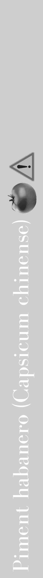 Étiquette de : Capsicum chinense - format a - style blanche17bod avec comestibilité simplifiée - position verticale