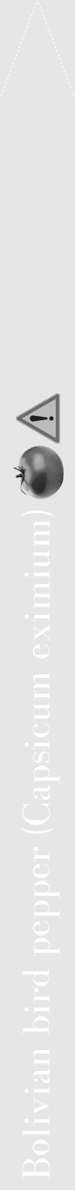 Étiquette de : Capsicum eximium - format b - style blanche18bod avec comestibilité simplifiée - position verticale