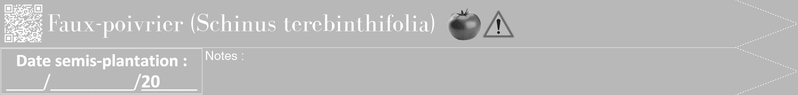 Étiquette de : Schinus terebinthifolia - format b - style blanche39bod avec qrcode et comestibilité simplifiée