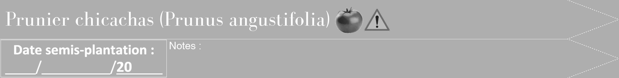Étiquette de : Prunus angustifolia - format b - style blanche53bod avec comestibilité simplifiée