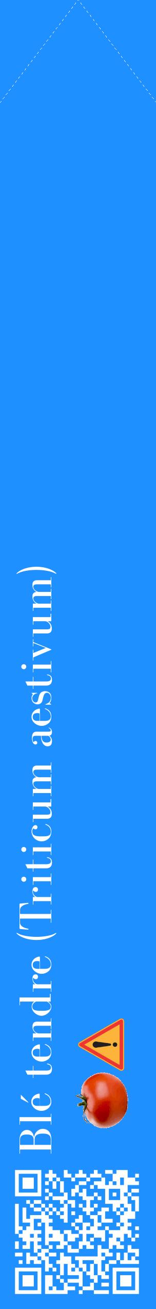 Étiquette de : Triticum aestivum - format c - style blanche3_simplebod avec qrcode et comestibilité simplifiée