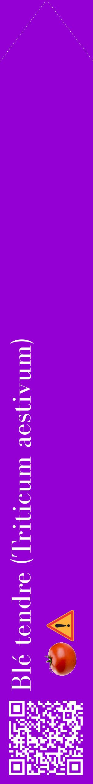 Étiquette de : Triticum aestivum - format c - style blanche48_simplebod avec qrcode et comestibilité simplifiée