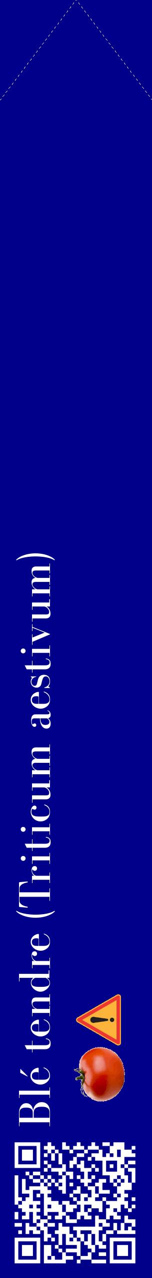 Étiquette de : Triticum aestivum - format c - style blanche7_simplebod avec qrcode et comestibilité simplifiée