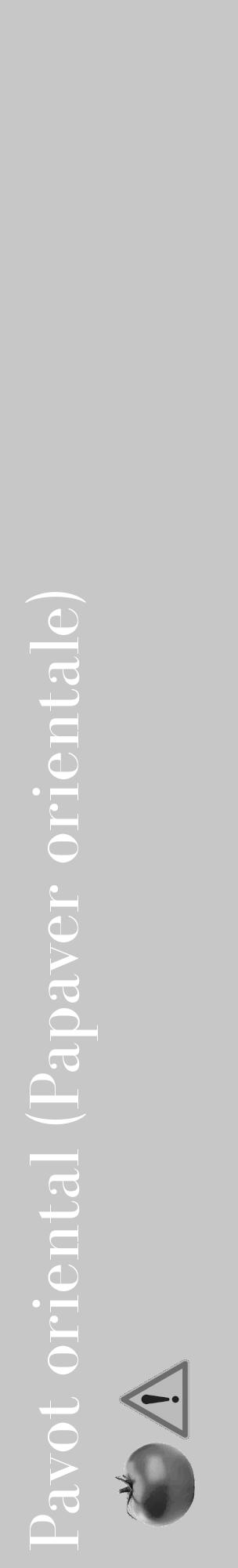 Étiquette de : Papaver orientale - format c - style blanche15_basique_basiquebod avec comestibilité simplifiée - position verticale