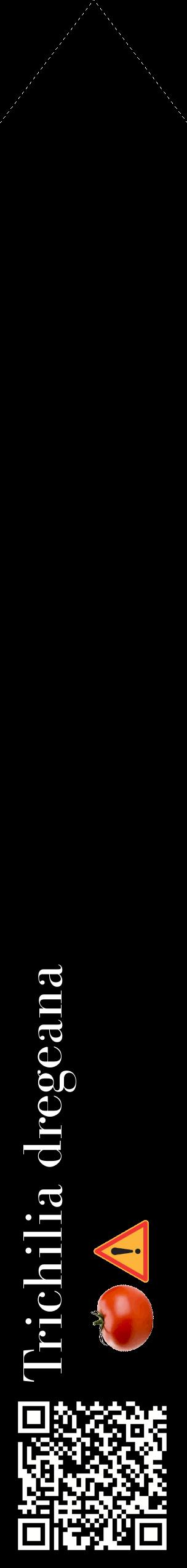 Étiquette de : Trichilia dregeana - format c - style blanche59_simplebod avec qrcode et comestibilité simplifiée