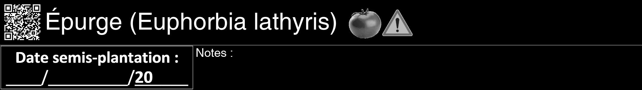 Étiquette de : Euphorbia lathyris - format a - style blanche59hel avec qrcode et comestibilité simplifiée