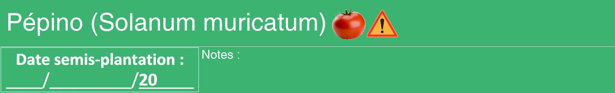 Étiquette de : Solanum muricatum - format a - style blanche12hel avec comestibilité simplifiée