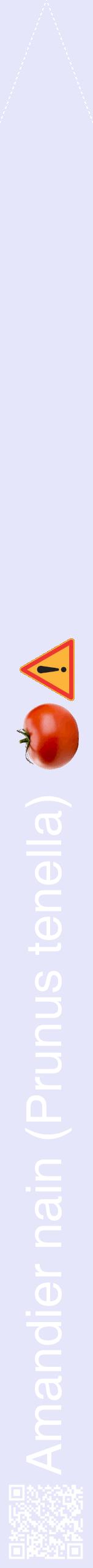 Étiquette de : Prunus tenella - format b - style blanche55hel avec qrcode et comestibilité simplifiée