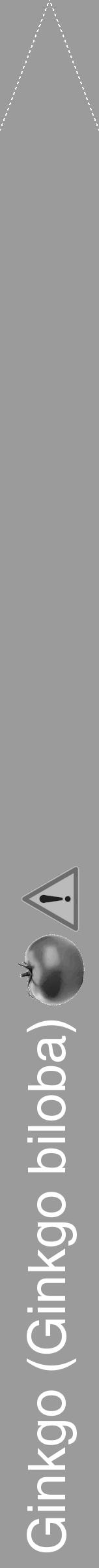 Étiquette de : Ginkgo biloba - format b - style blanche52hel avec comestibilité simplifiée - position verticale
