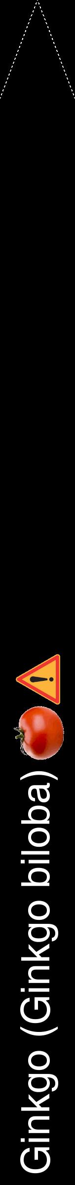 Étiquette de : Ginkgo biloba - format b - style blanche59hel avec comestibilité simplifiée