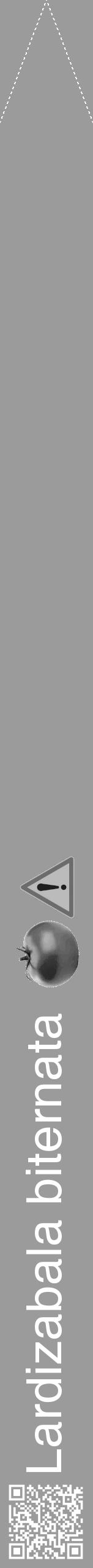 Étiquette de : Lardizabala biternata - format b - style blanche52hel avec qrcode et comestibilité simplifiée - position verticale