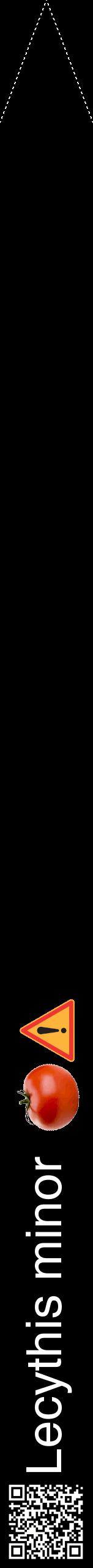 Étiquette de : Lecythis minor - format b - style blanche59hel avec qrcode et comestibilité simplifiée