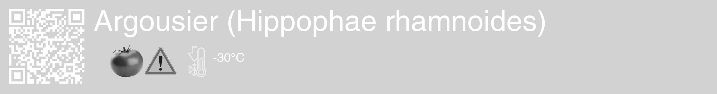 Étiquette de : Hippophae rhamnoides - format c - style blanche14_basique_basiquehel avec qrcode et comestibilité simplifiée