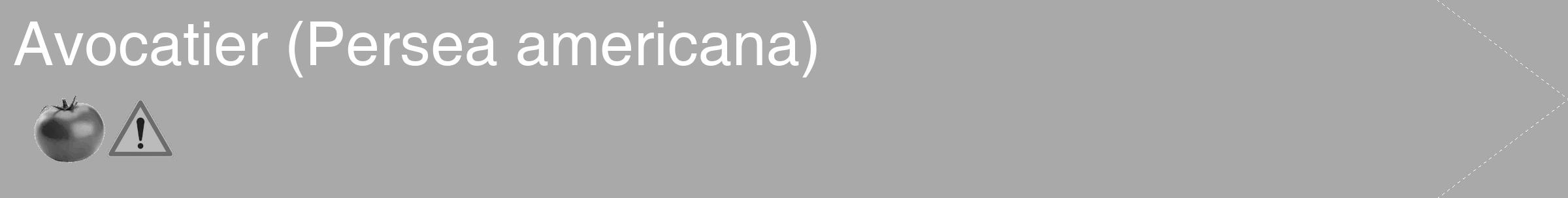 Étiquette de : Persea americana - format c - style blanche13_simple_simplehel avec comestibilité simplifiée