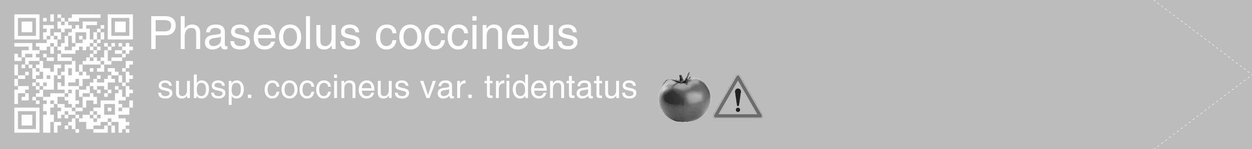 Étiquette de : Phaseolus coccineus subsp. coccineus var. tridentatus - format c - style blanche1_simple_simplehel avec qrcode et comestibilité simplifiée