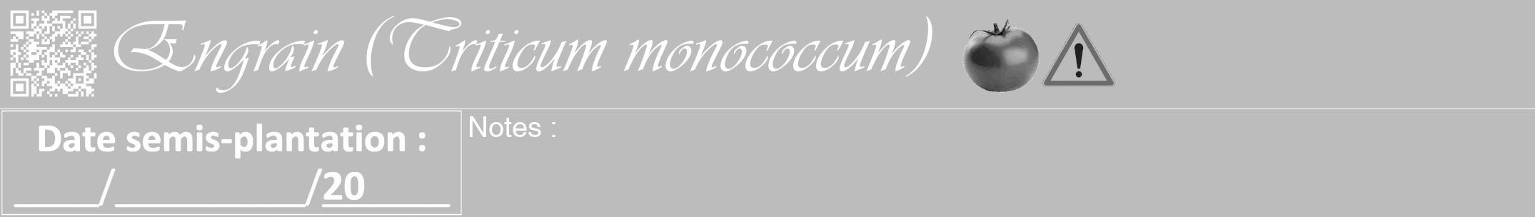 Étiquette de : Triticum monococcum - format a - style blanche1viv avec qrcode et comestibilité simplifiée