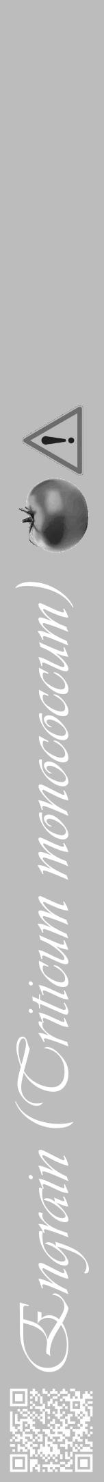 Étiquette de : Triticum monococcum - format a - style blanche1viv avec qrcode et comestibilité simplifiée - position verticale