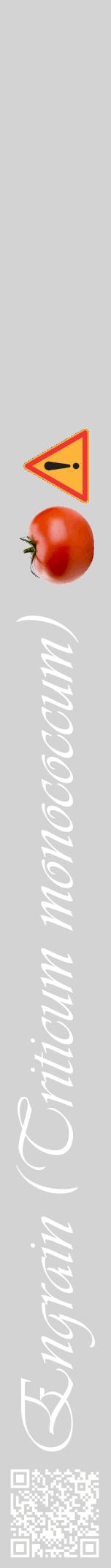 Étiquette de : Triticum monococcum - format a - style blanche56viv avec qrcode et comestibilité simplifiée