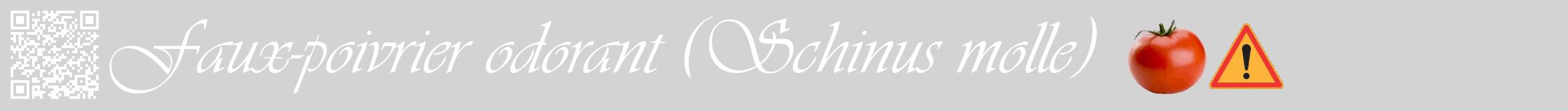 Étiquette de : Schinus molle - format a - style blanche56basiqueviv avec qrcode et comestibilité simplifiée