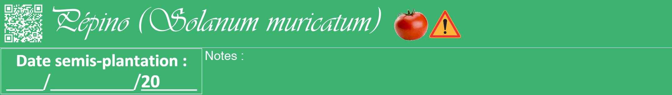Étiquette de : Solanum muricatum - format a - style blanche12viv avec qrcode et comestibilité simplifiée