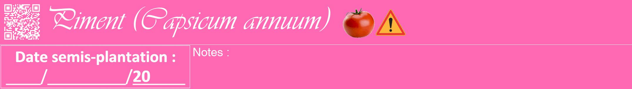 Étiquette de : Capsicum annuum - format a - style blanche42viv avec qrcode et comestibilité simplifiée