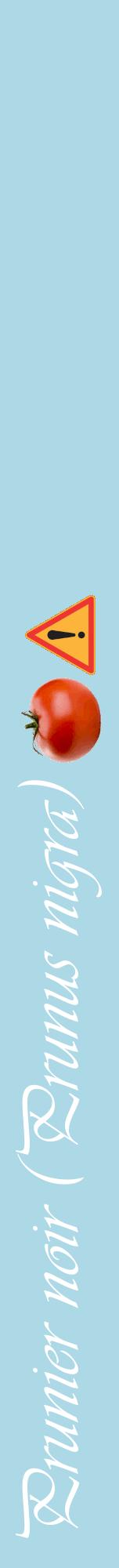 Étiquette de : Prunus nigra - format a - style blanche0viv avec comestibilité simplifiée