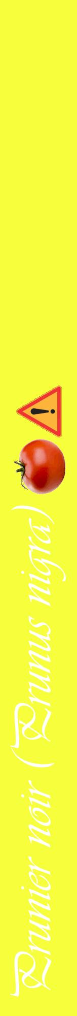 Étiquette de : Prunus nigra - format a - style blanche18viv avec comestibilité simplifiée
