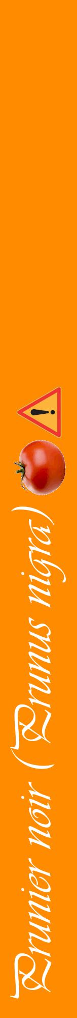 Étiquette de : Prunus nigra - format a - style blanche23viv avec comestibilité simplifiée