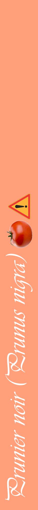 Étiquette de : Prunus nigra - format a - style blanche39viv avec comestibilité simplifiée