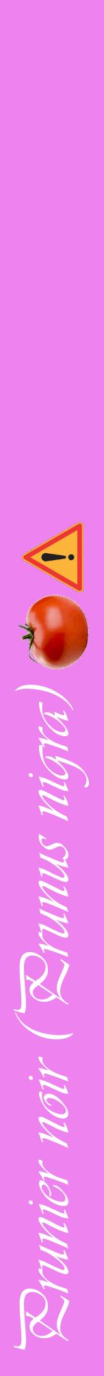 Étiquette de : Prunus nigra - format a - style blanche53viv avec comestibilité simplifiée