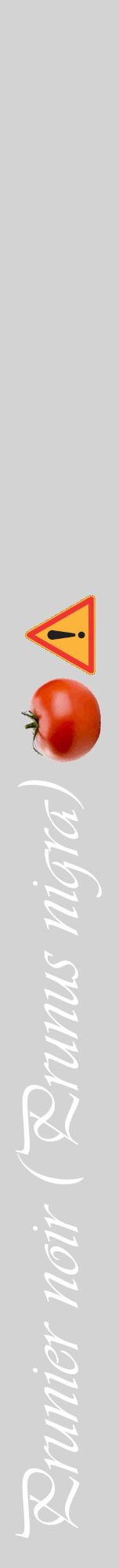 Étiquette de : Prunus nigra - format a - style blanche56viv avec comestibilité simplifiée