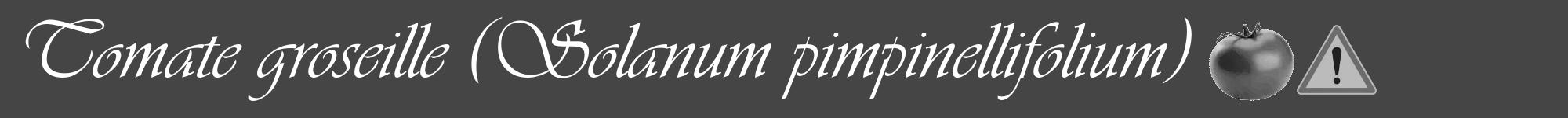 Étiquette de : Solanum pimpinellifolium - format a - style blanche58viv avec comestibilité simplifiée