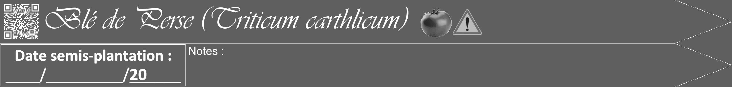 Étiquette de : Triticum carthlicum - format b - style blanche10viv avec qrcode et comestibilité simplifiée