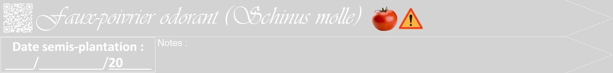 Étiquette de : Schinus molle - format b - style blanche56simpleviv avec qrcode et comestibilité simplifiée