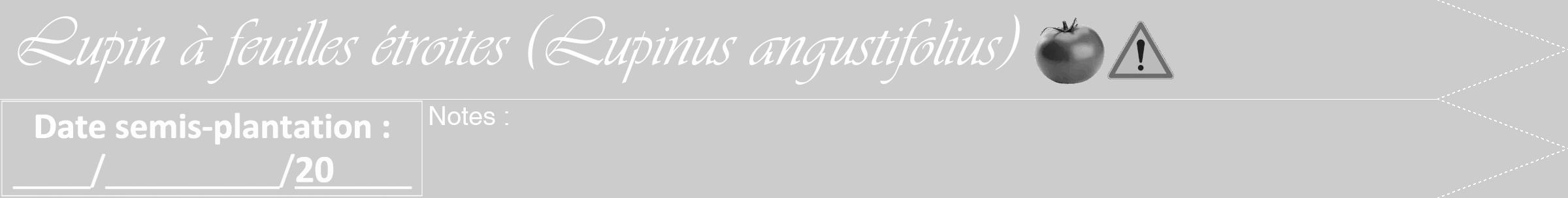 Étiquette de : Lupinus angustifolius - format b - style blanche0viv avec comestibilité simplifiée