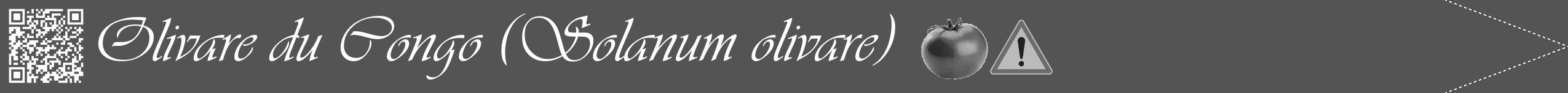 Étiquette de : Solanum olivare - format b - style blanche36viv avec qrcode et comestibilité simplifiée