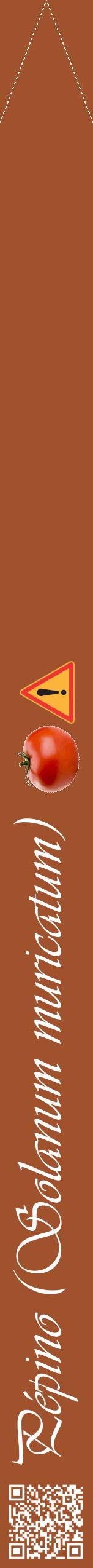 Étiquette de : Solanum muricatum - format b - style blanche32viv avec qrcode et comestibilité simplifiée