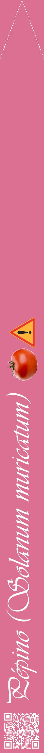 Étiquette de : Solanum muricatum - format b - style blanche44viv avec qrcode et comestibilité simplifiée