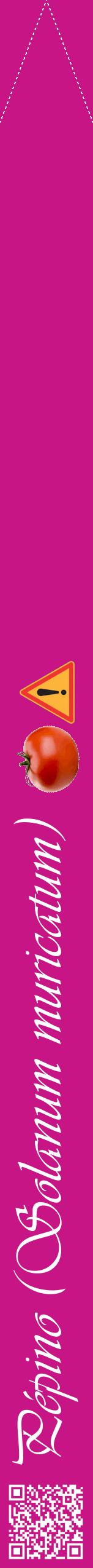 Étiquette de : Solanum muricatum - format b - style blanche45viv avec qrcode et comestibilité simplifiée