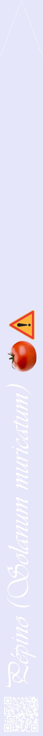 Étiquette de : Solanum muricatum - format b - style blanche55viv avec qrcode et comestibilité simplifiée