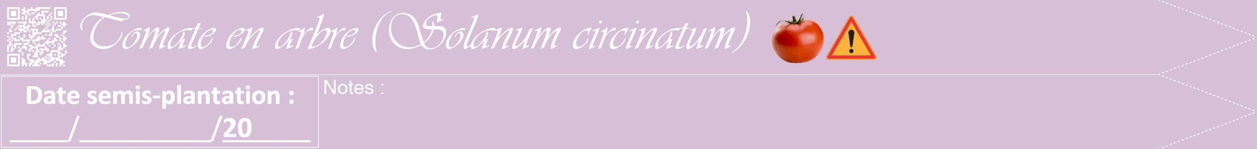 Étiquette de : Solanum circinatum - format b - style blanche54viv avec qrcode et comestibilité simplifiée