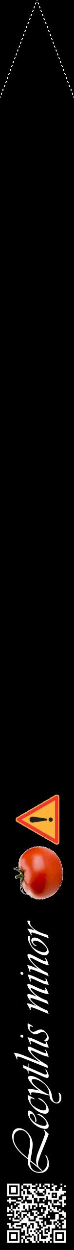 Étiquette de : Lecythis minor - format b - style blanche59viv avec qrcode et comestibilité simplifiée