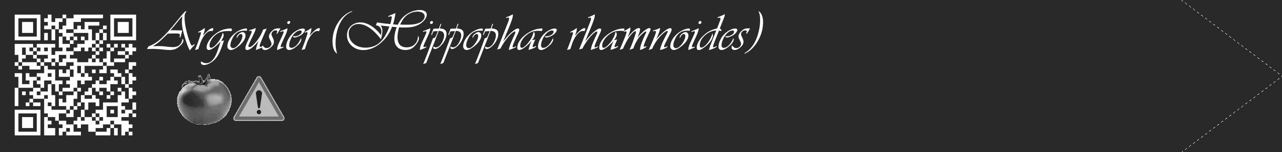 Étiquette de : Hippophae rhamnoides - format c - style blanche34_simple_simpleviv avec qrcode et comestibilité simplifiée