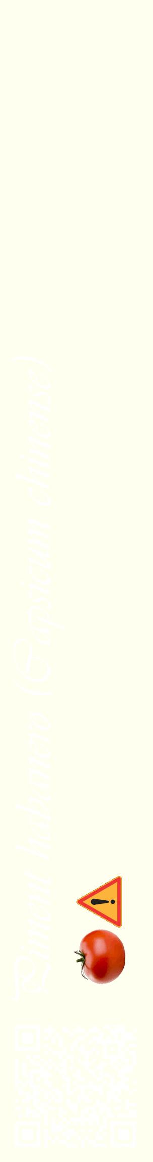 Étiquette de : Capsicum chinense - format c - style blanche19_basiqueviv avec qrcode et comestibilité simplifiée